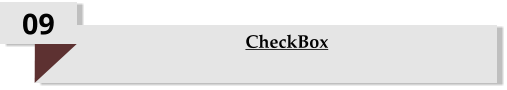 09 CheckBox